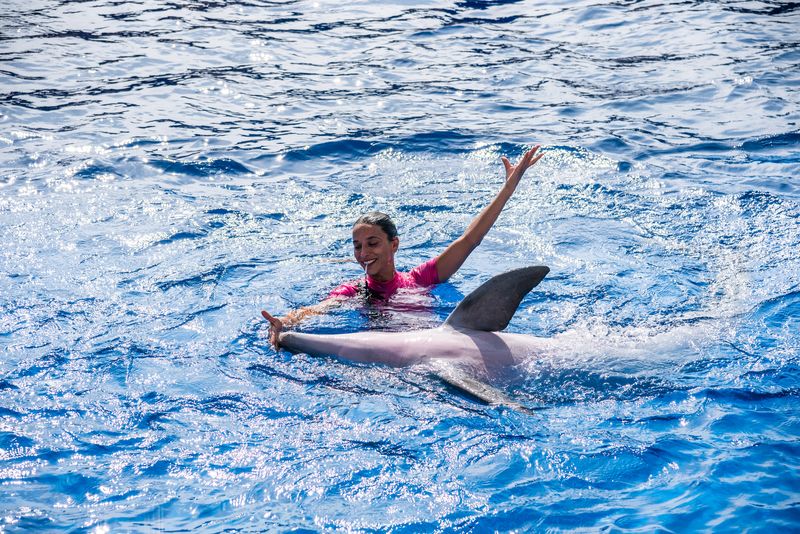 Delfines Marineland Catalunya