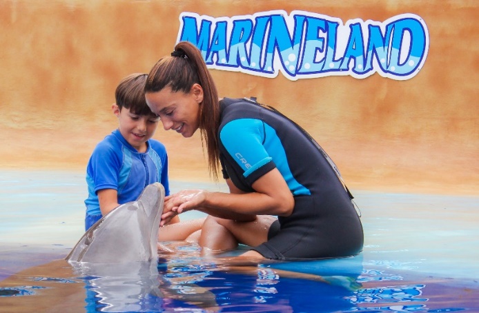 Experiencias con delfines Marineland