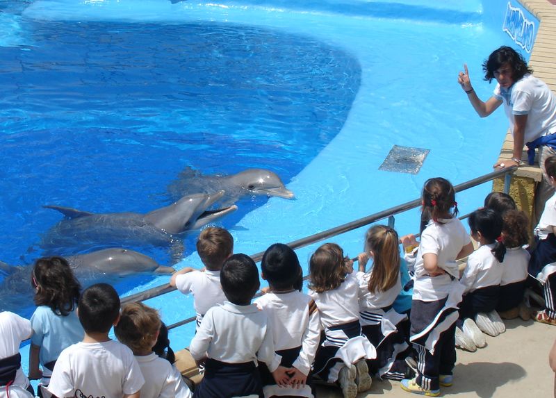 Colegios Marineland Calalunya