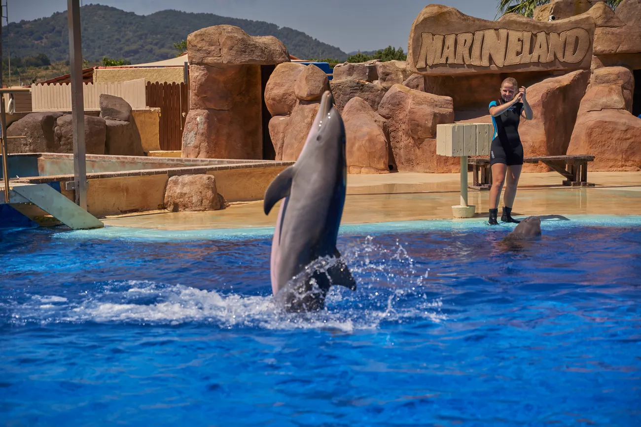 Delfines Marineland Catalunya