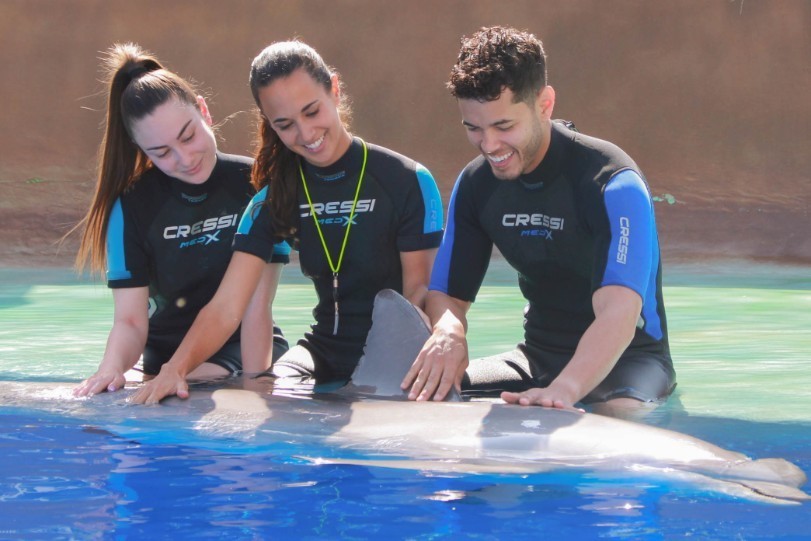 Conoce a los delfines Marineland Catalunya