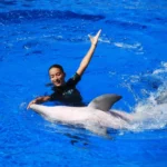 Delfines Marineland Catalunya