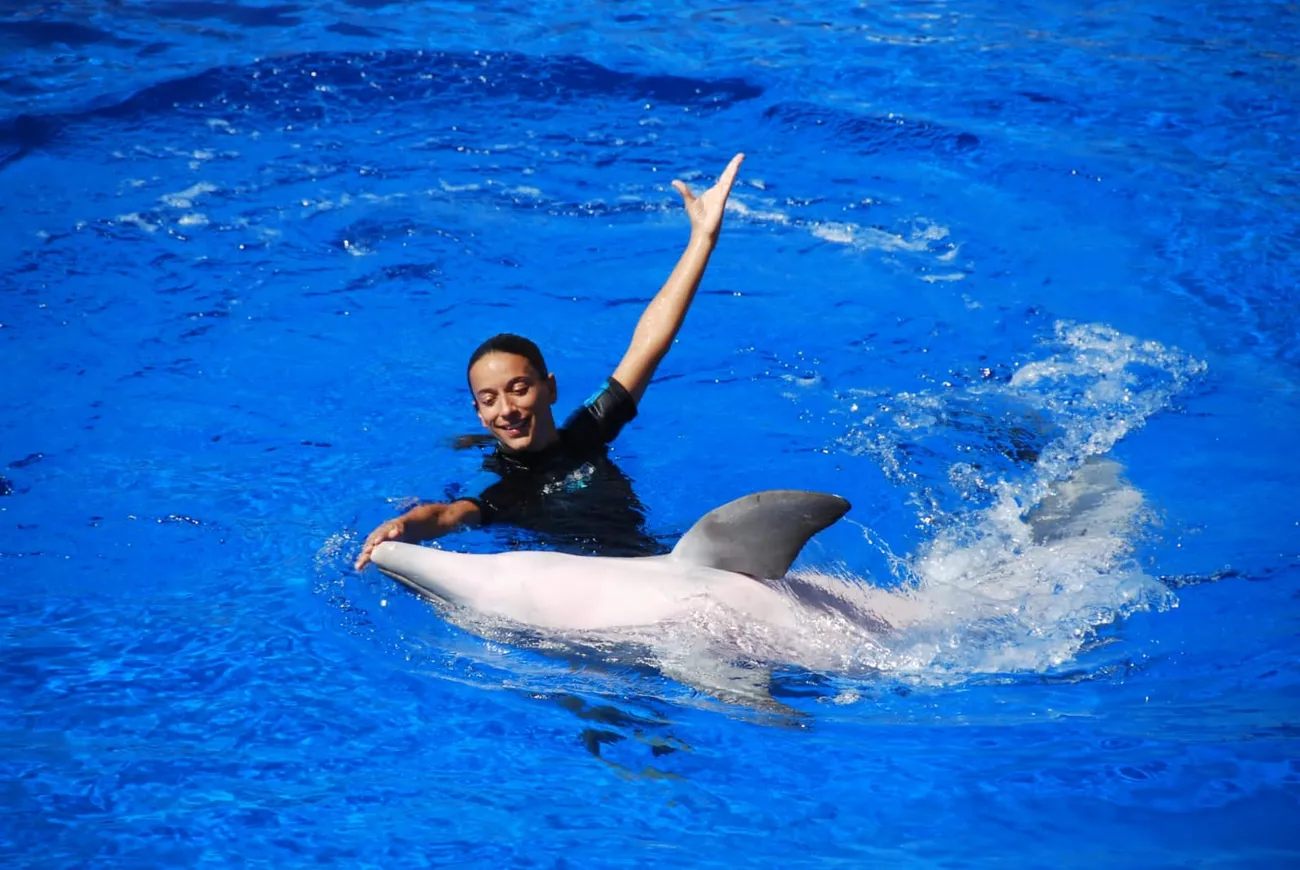 Delfines Marineland Catalunya