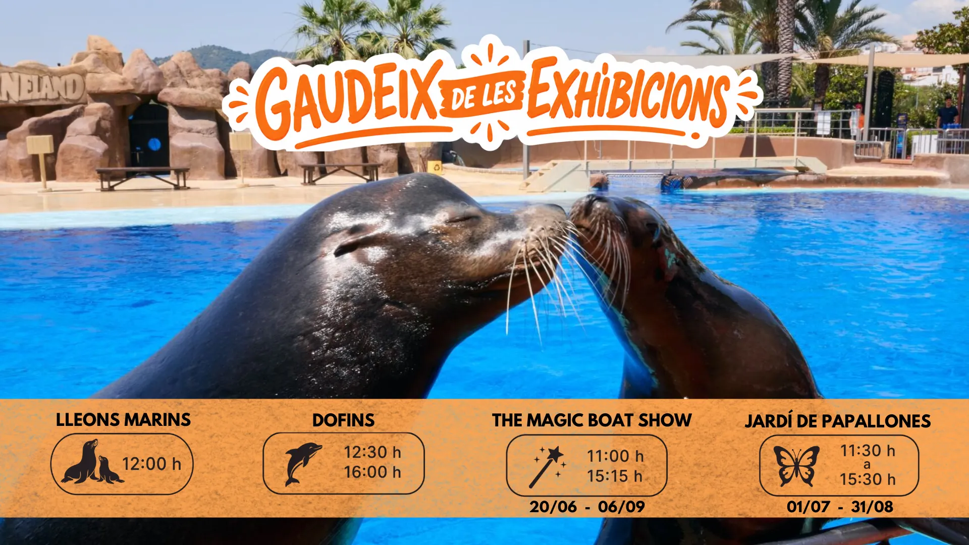 Slider Marineland Catalunya