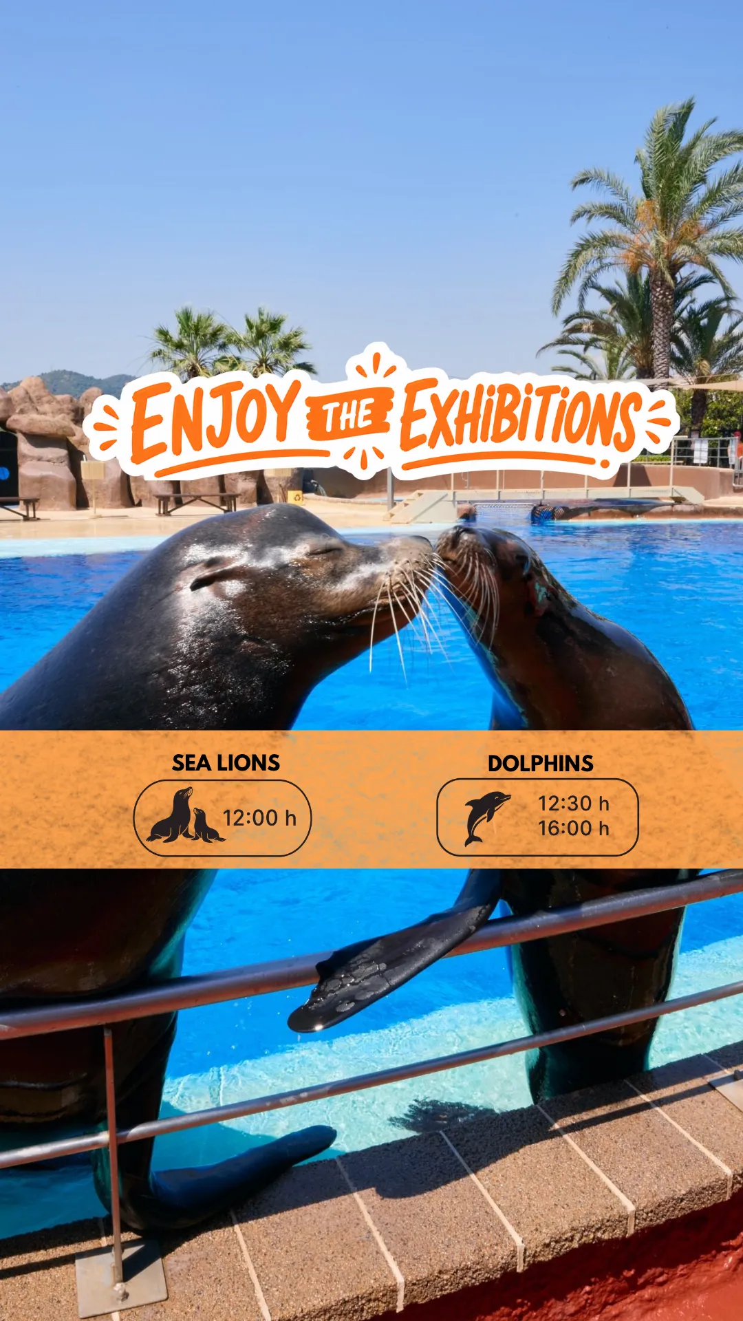 Slider Marineland Catalunya