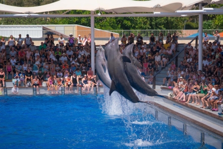 Animal exhibits - Marineland Mallorca