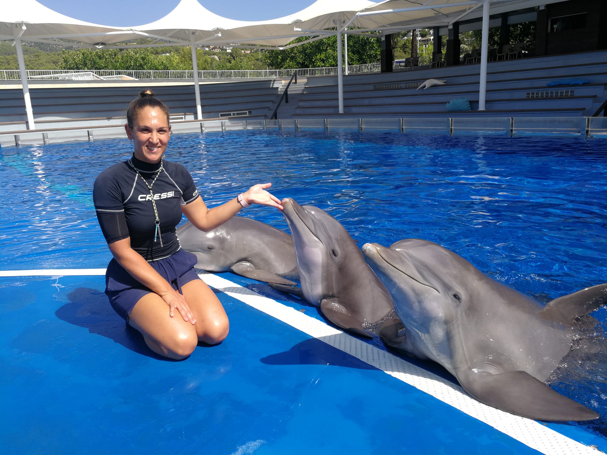 Approaching and discovering the dolphins (video) Marineland Mallorca