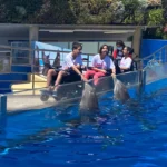 Marineland Mallorca colabora en la lucha para la investigación de la ataxia telangiectasia