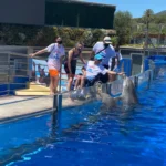 Marineland Mallorca colabora en la lucha para la investigación de la ataxia telangiectasia