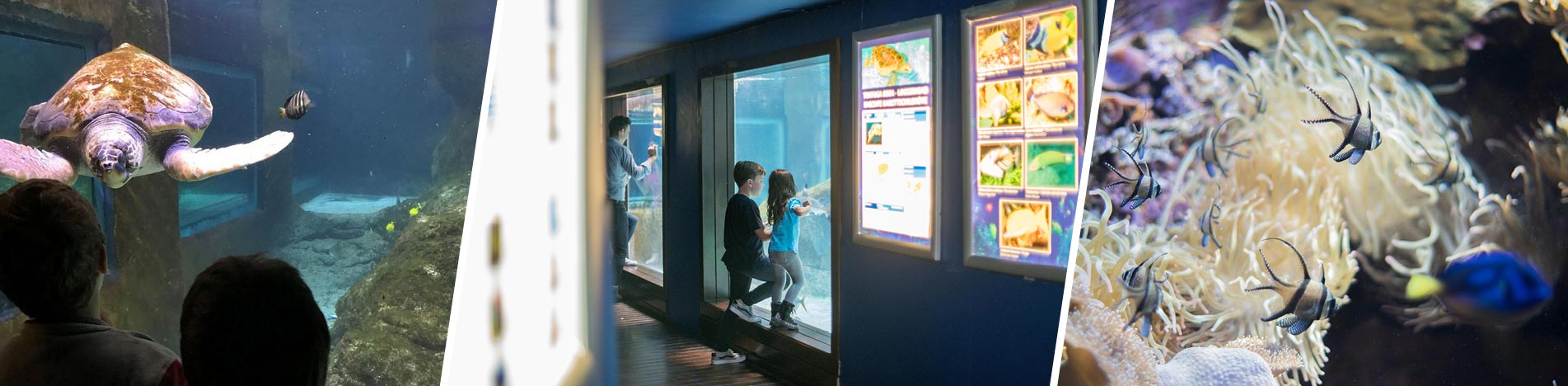 Marineland Acuarios