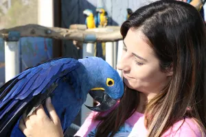 Exhibición de aves
