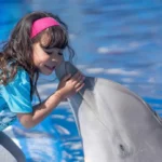 Marineland Mallorca Educación y colegios