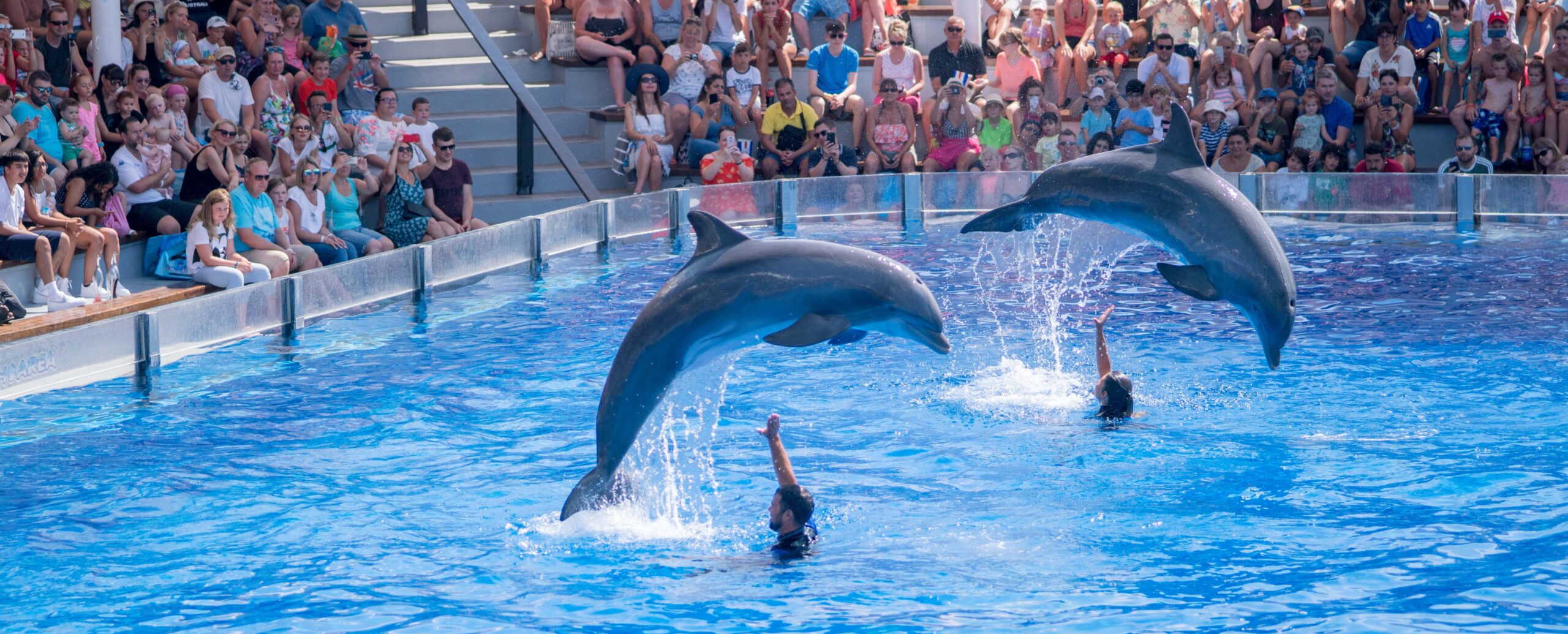 Noticias Marineland Mallorca