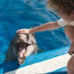 Marineland Mallorca Educación y colegios
