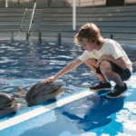 Marineland Mallorca Educación y colegios