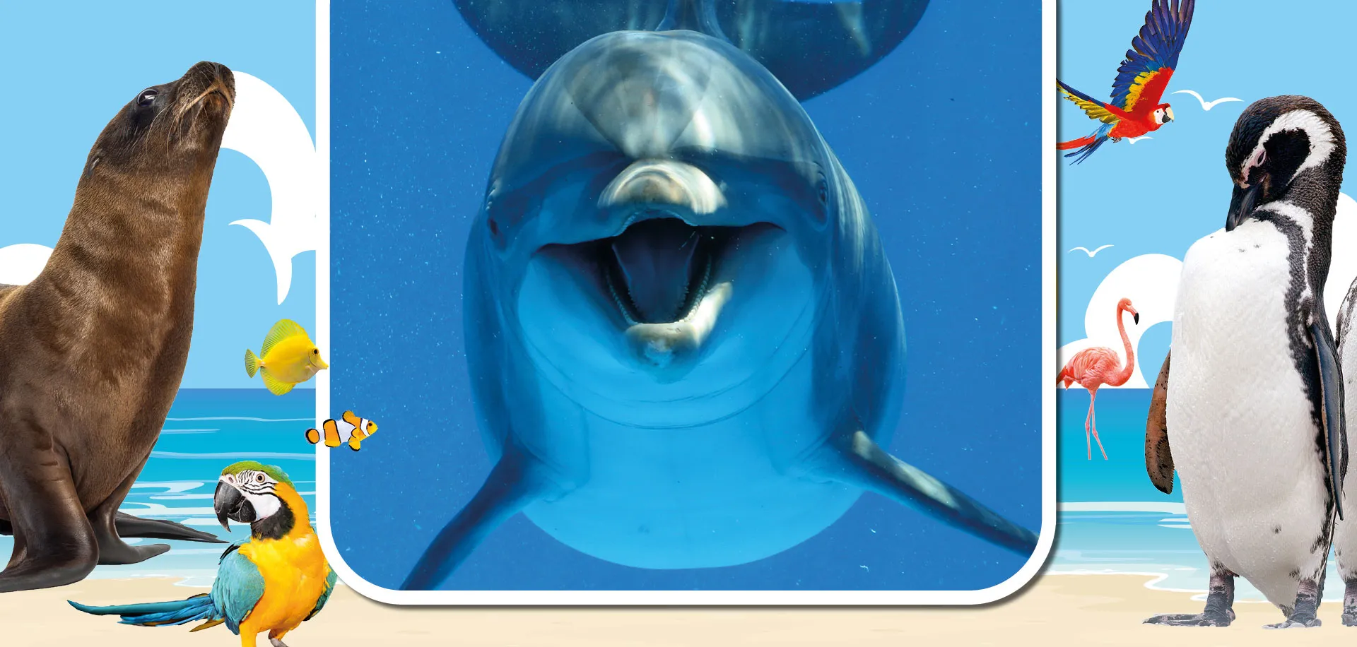 Marineland Mallorca